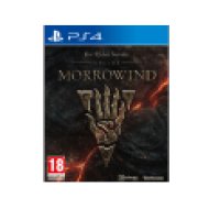 The Elder Scrolls Online: Morrowind (PlayStation 4)