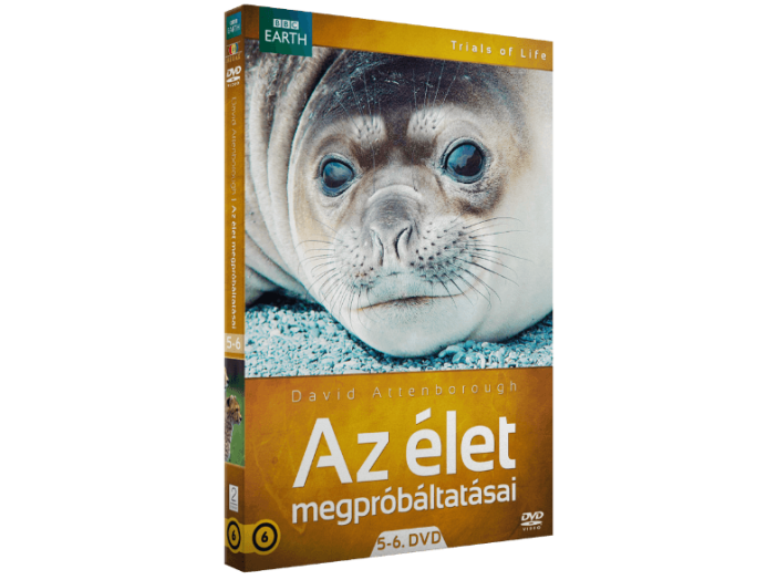 Az élet megpróbáltatásai 5-6. (díszdoboz) DVD