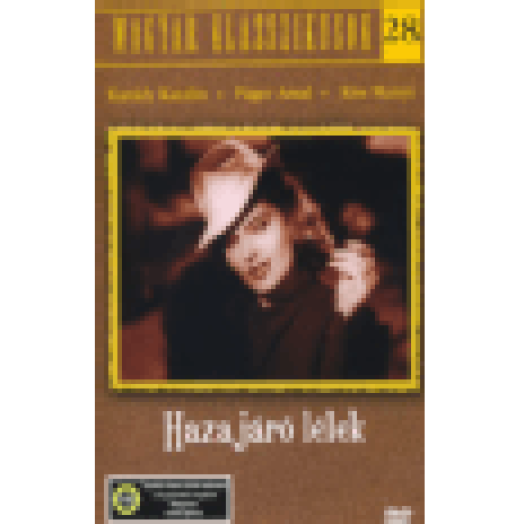 Hazajáró lélek DVD