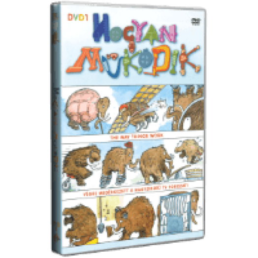 Hogyan működik DVD