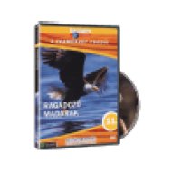 TCS 11. - Ragadozó madarak (DVD)