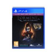 Torment: Tides of Numener (PlayStation 4)