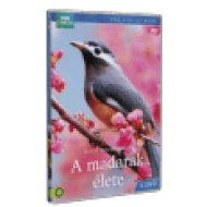A madarak élete 4. DVD