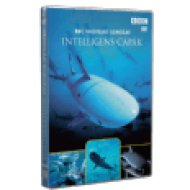 Vadvilág Sorozat - Intelligens cápák DVD