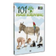 101 házi kedvenc DVD