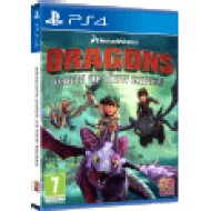 Dragons Dawn of New Riders (PlayStation 4)